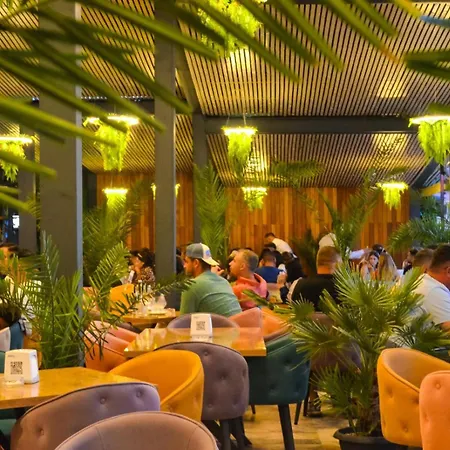 Dvg Ii Hotel Costinesti
