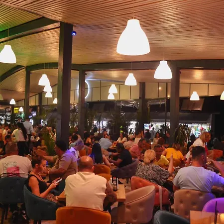 Hotel Dvg Ii Costinesti
